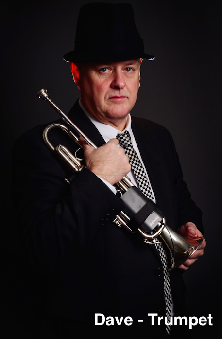 The Birmingham Ska Band