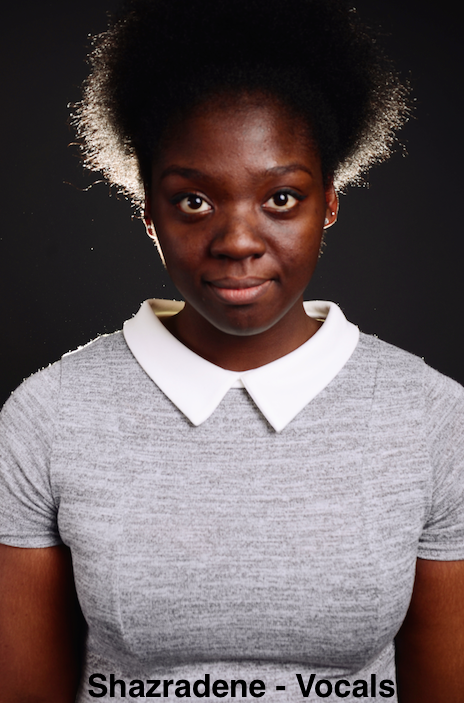 The Birmingham Ska Band